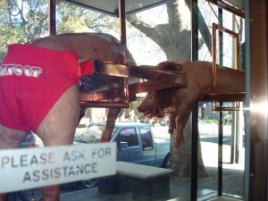 Sydney butcher Victor Churchill getting into the 2010 Federal Election spirit